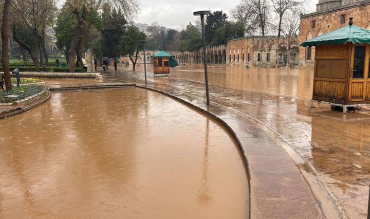 Şanlıurfa'da sağanak nedeniyle Balıklıgöl taştı