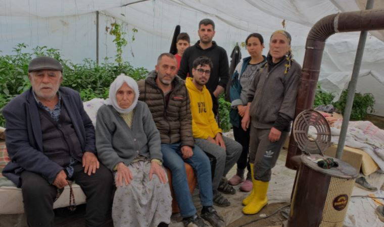 Bir serada 50 kişi kalıyor