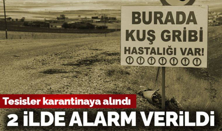 Afyonkarahisar ve Denizli'de kuş gribi alarmı