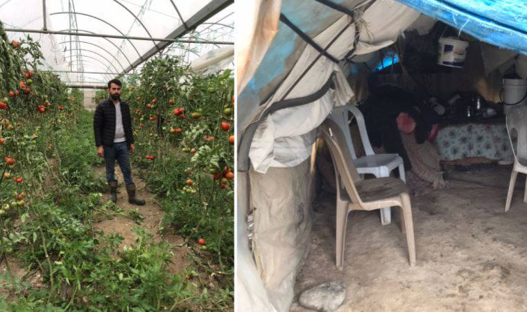 Vicdanları köreldi