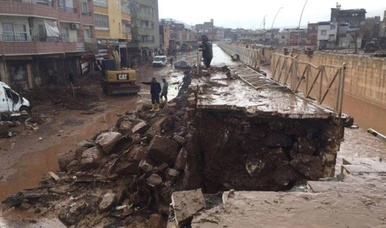 Diyarbakır’da sel felaketinin ardından balıklar oksijensiz kalarak boğuldu