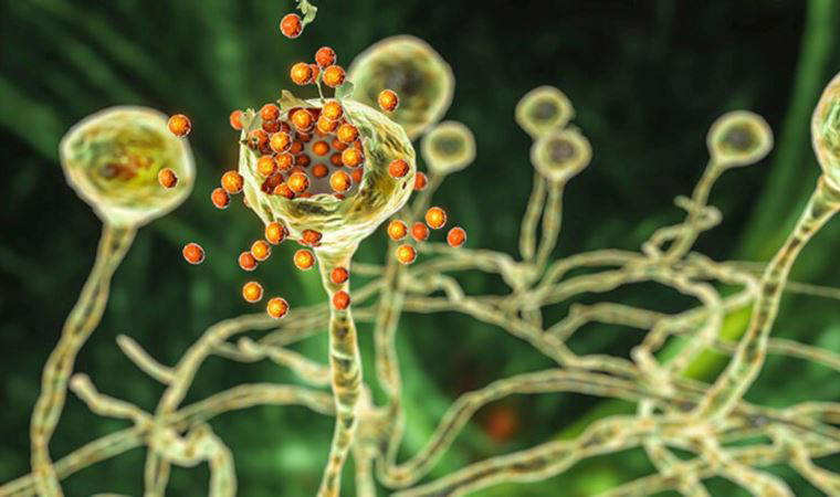 Vaka sayıları arttı...