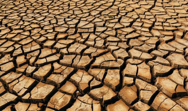 Dünya Su Günü’nde tablo korkutucu: Tehlike çanları çalıyor