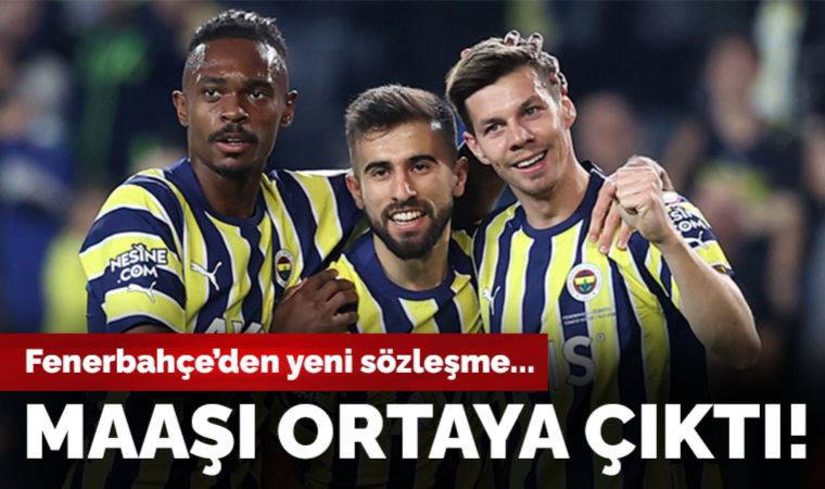 Fenerbahçeli futbolcu Miha Zajc'a yeni sözleşme: Maaşı belli oldu