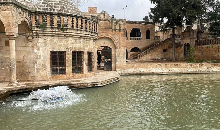 Balıklıgöl'ün suyu normalleşmeye başladı, balıklar yeniden ortaya çıktı