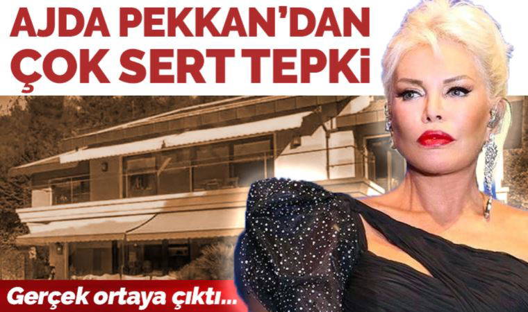 Ajda Pekkan'dan 'Fırsatçılık yapıyor' iddiasına karşı çok sert tepki