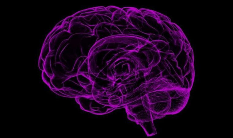 Uzmanı anlattı: 'Epilepsiyi anlayalım, korkmayalım'