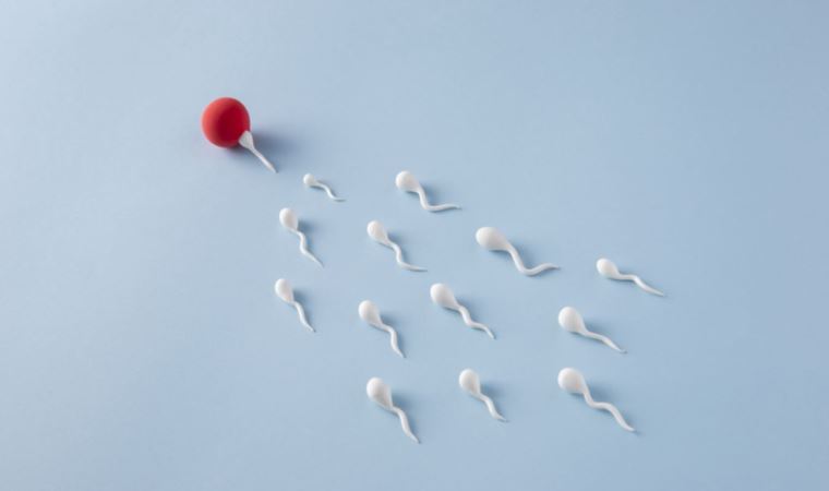 Dünya çapında yüzlerce çocuğu olan Hollandalı sperm bağışçısına dava açıldı: 'Daha fazla bağış yapmasın'