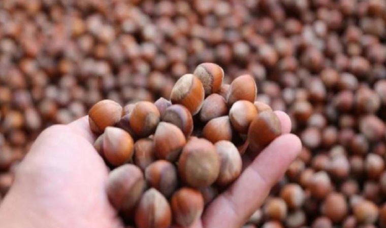 Meteoroloji uyardı: Ordu'da zirai don tehlikesi