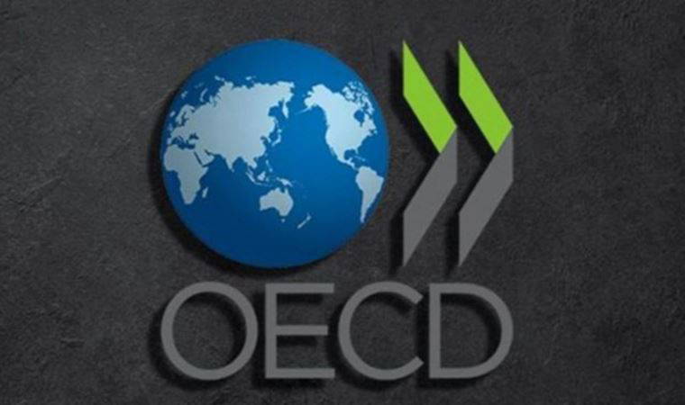 Eğitimci Ozan Çınar yazdı: ‘OECD 2023 Öğrenme Pusulası'
