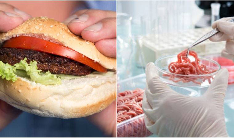 İtalya'da sentetik gıda üretiminin yasaklanmasına yönelik yasa tasarısı hazırlandı