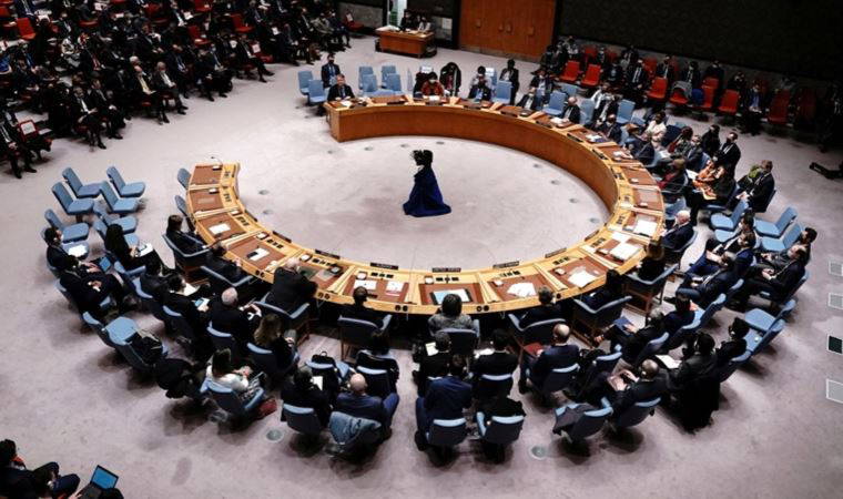 Ukrayna'dan BM Güvenlik Konseyine eleştiri