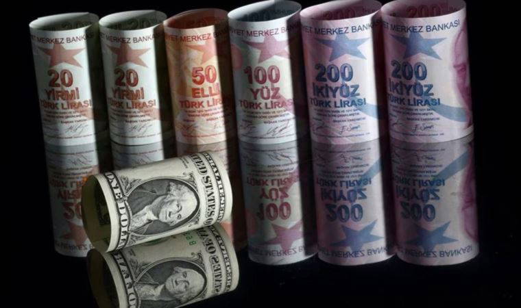 Bank Of America'dan dolar/TL tahmini
