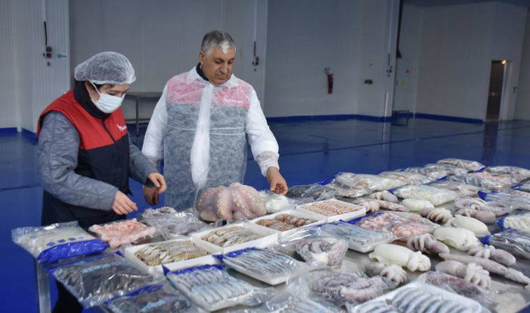 Karadeniz ve Marmara'nın balıkçıları Ege Denizi’nde avlanıyor