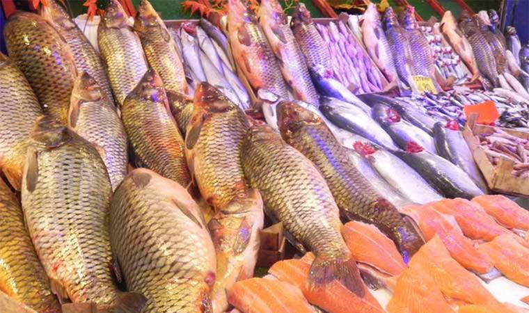 Eskişehirli balık satıcısı: 'Tezgahtaki balık satılmayınca, fiyatlar yarı yarıya indi'