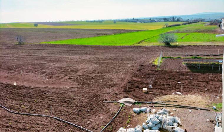 Tarlaya deprem konutu