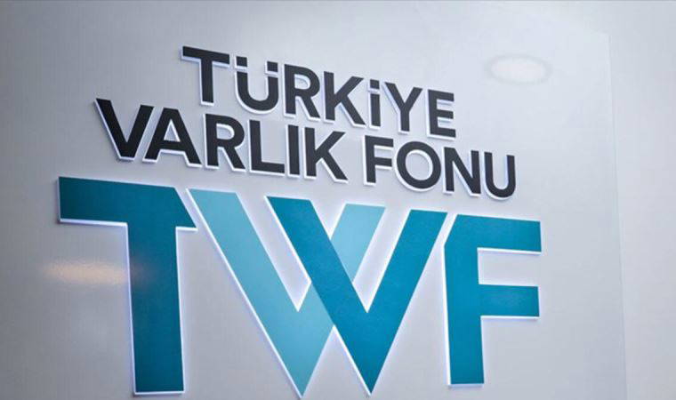 Varlık Fonu 790 milyon Euro kredi aldı