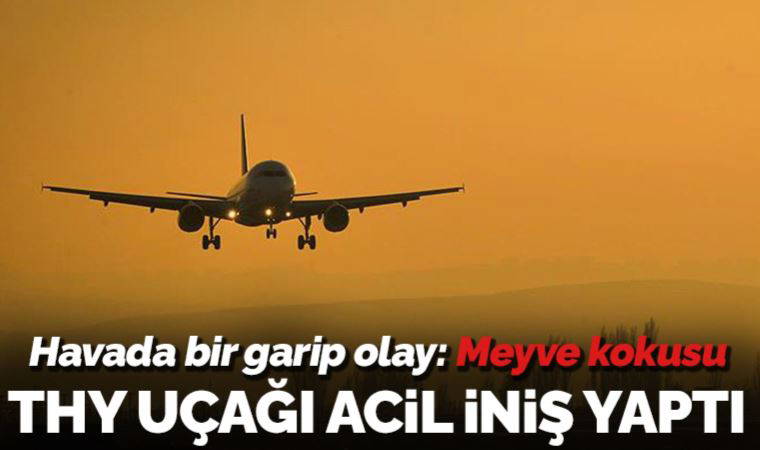 Havada bir garip olay: Meyve kokusu THY uçağına acil iniş yaptırdı