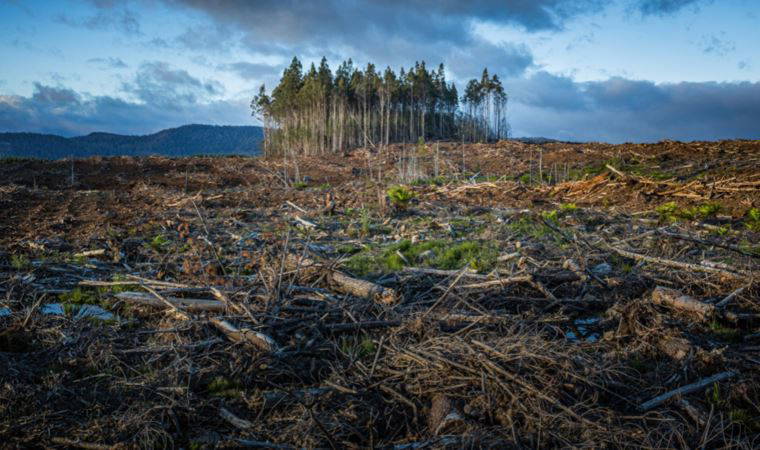 'İklim değişikliği' kırılgan sosyal gruplara ve zayıf ülkelere daha çok zarar veriyor