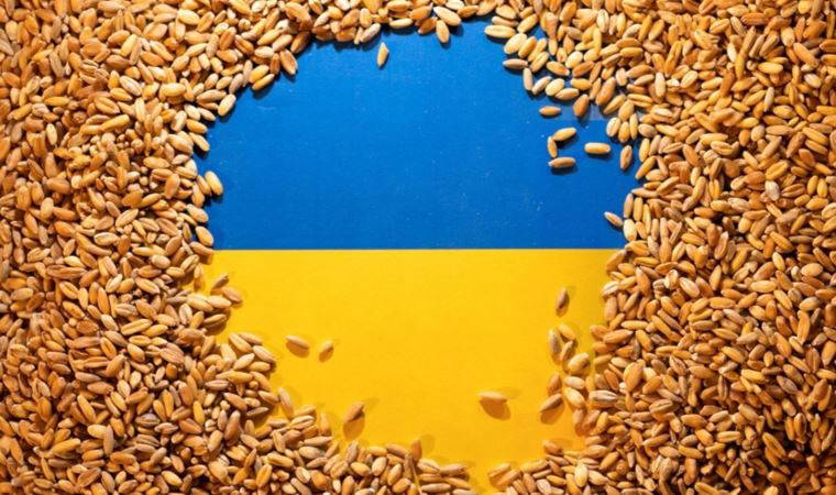 Ukrayna'lı yetkilisi tahıl anlaşmasının müzakerelerine başladı