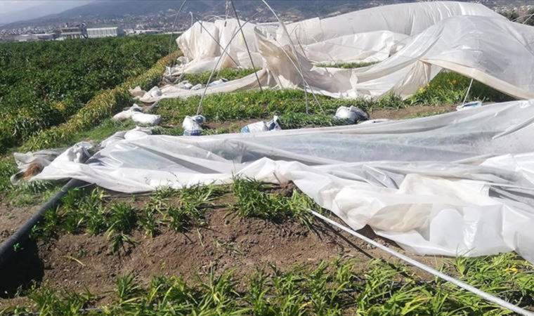 Fırtına Hatay'da depremzedelerin seralarına zarar verdi