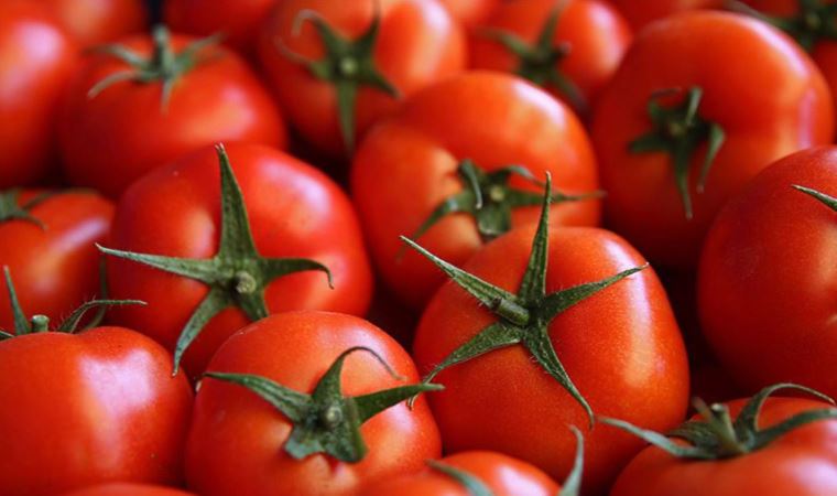 Domates ihracatına yönelik kısıtlama sona erdi