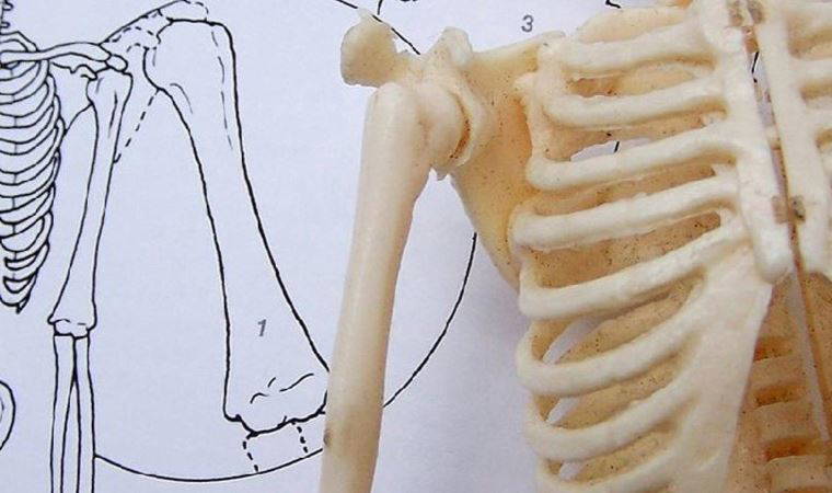 Sağlam kemikler için bu besinleri sofranızdan eksik etmeyin!