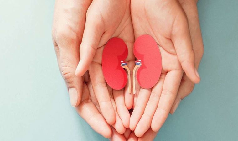 Diyabet ve hipertansiyon böbrek sağlığını tehdit ediyor