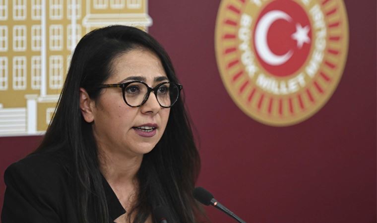 Sera Kadıgil açıkladı: TİP neden kendi listesiyle seçime giriyor?