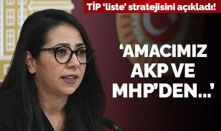 Sera Kadıgil açıkladı: TİP neden kendi listesiyle seçime giriyor?