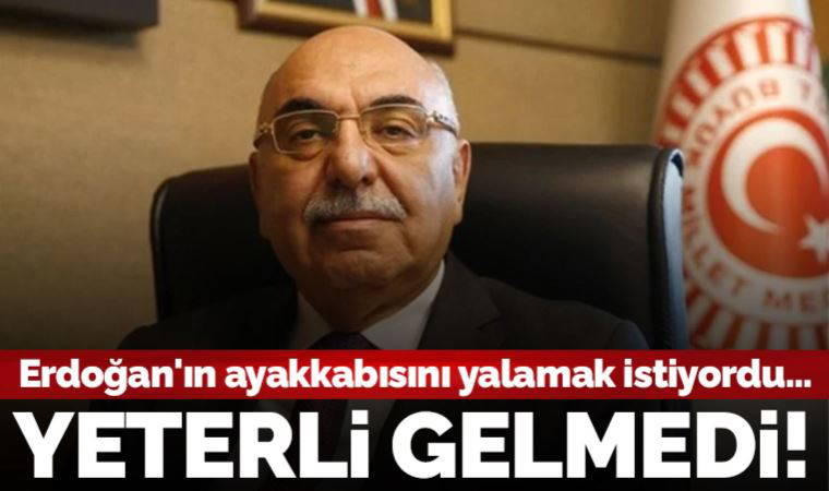 'Erdoğan'ın ayakkabısını yalamamız lazım' demişti: Şenel Yediyıldız aday olamadı