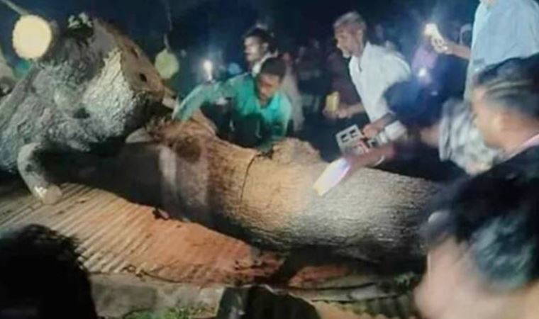 Hindistan’da tapınağın üzerine ağaç devrildi: 7 ölü, 30 yaralı