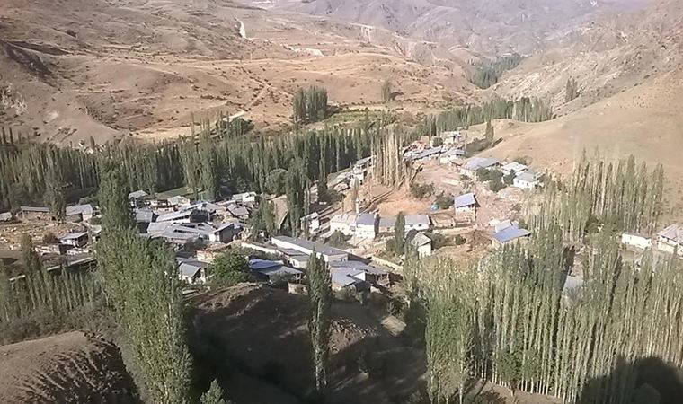 Erzurum'da köye inen kurt, 4 kişiyi yaraladı