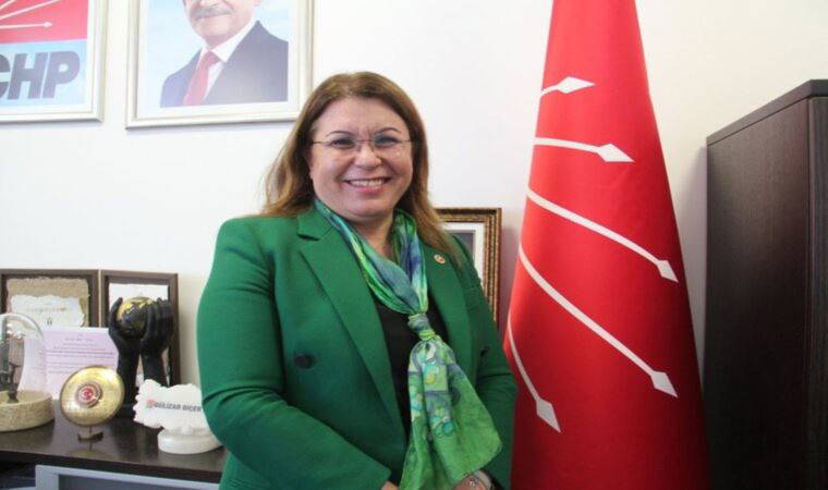 CHP Denizli Milletvekili adayı Av. Gülizar Biçer Karaca kimdir? Gülizar Biçer Karaca kaç yaşında, nereli?