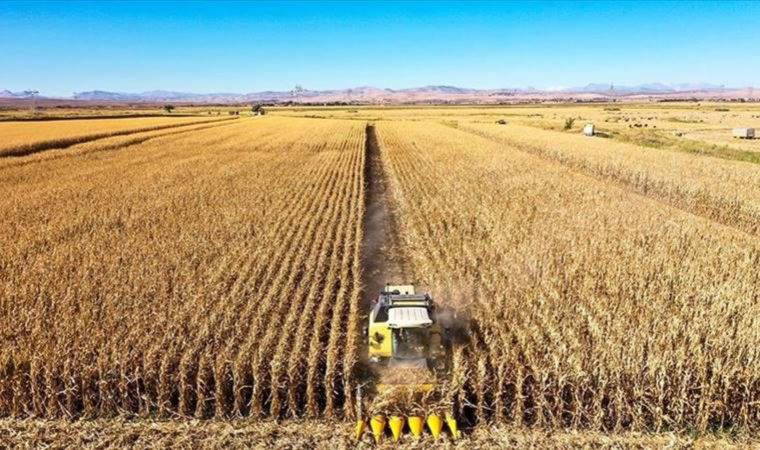 Son Dakika... Tarımda üretici enflasyonu martta yükselişini sürdürdü