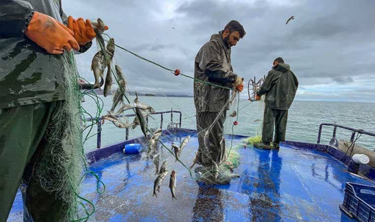 Van Gölü'nde 'inci kefali' için av yasağı başladı: Öğrencilere inci kefali temalı eğitimler verildi