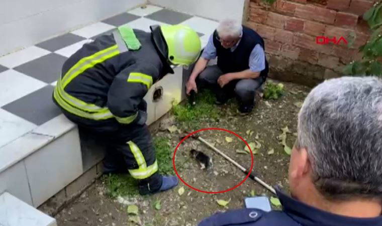 Boruya sıkışan yavru kediyi , kardeşinin sesi kurtardı