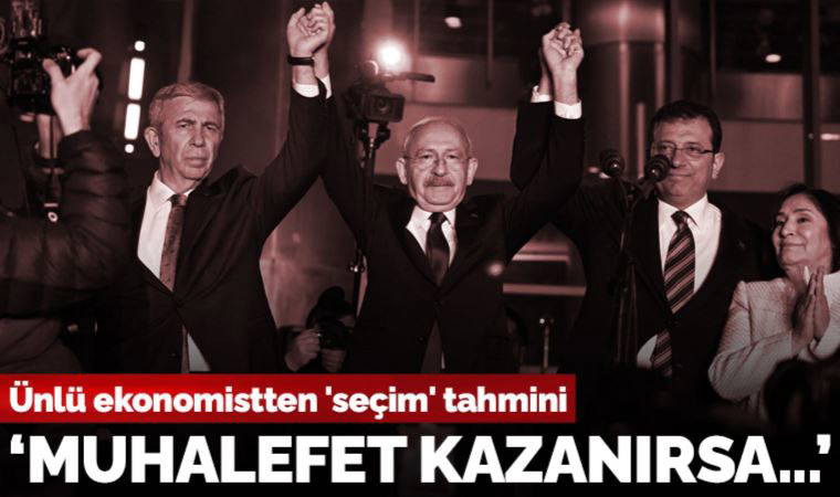 İngiliz ekonomist Timothy Ash: Muhalefet kazanırsa bu Batı'yla ikinci bir balayı dönemi olur