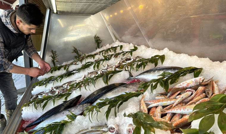 Avlanma yasağı başladı ama tezgahlardaki çeşitlilik bitmeyecek