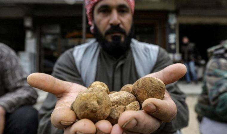 Trüf mantarı avcılarına IŞİD saldırdı: 31 kişi öldü