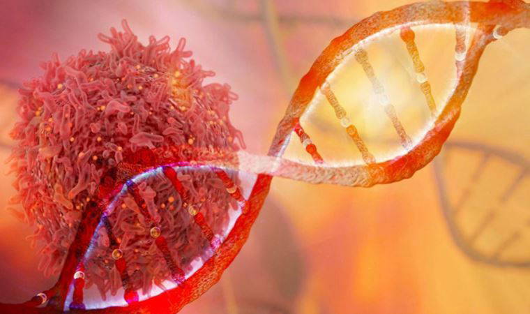 Kanser riskini yarı yarıya azaltan 4 önlem