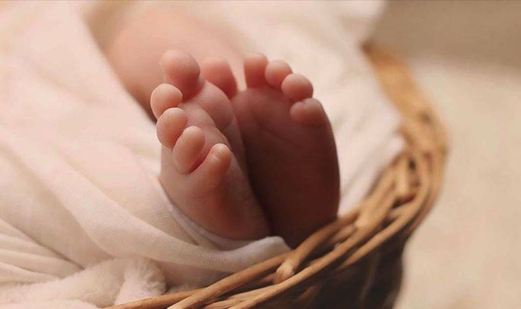 'Dünyada üreme hücrelerinin sayısı azalıyor'