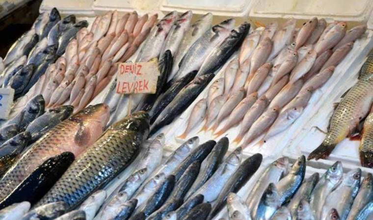 Mersin Balıkçılar Derneği Başkan Yardımcısı Adnan Polat: 'Et fiyatları artınca balığa rağbet arttı'