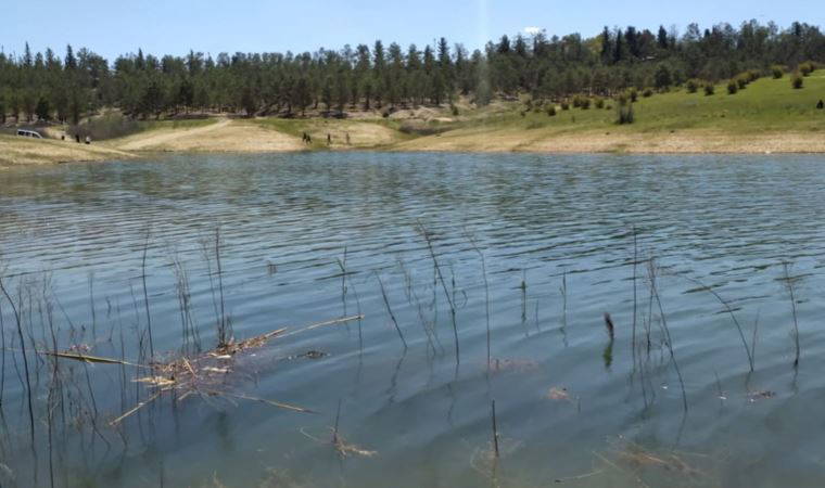 Şanlıurfa’da piknikte baraj göletine giren çocuk kayboldu