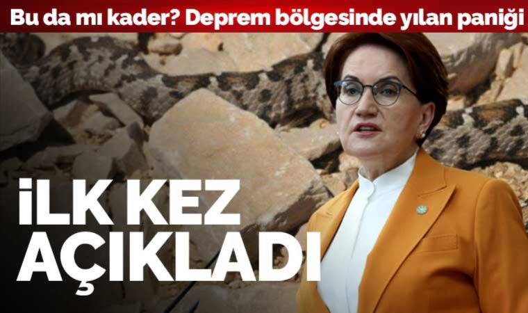 Akşener ilk kez açıkladı! Deprem bölgesinde yılan paniği: Bir çocuk hayatını kaybetti