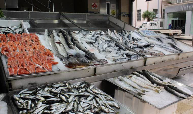 Balık tezgahlarını havuz balıkları süslüyor