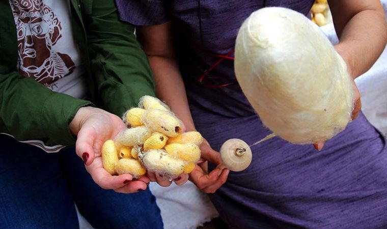 ‘Kadın gücüne el verin’