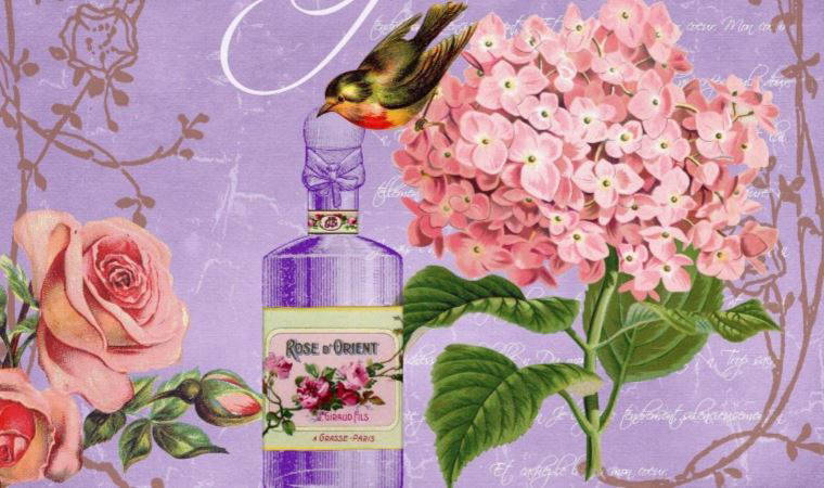 Kokunun tarihi: Aromatik parfüm günümüze kadar nasıl geldi?