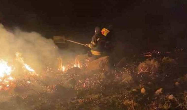 Bodrum’da otluk ve makilik arazide yangın