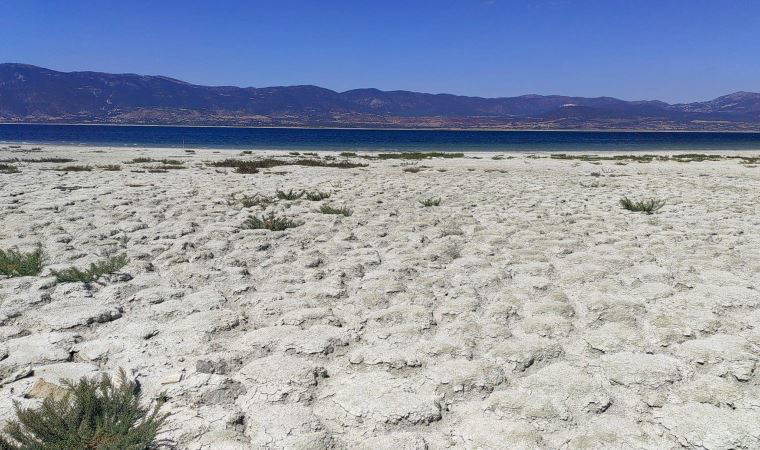 'Vatandaşı tasarrufa zorlayacağız'